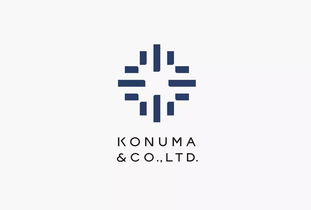 小沼商事品牌形象VI設計與全案企業品牌策劃