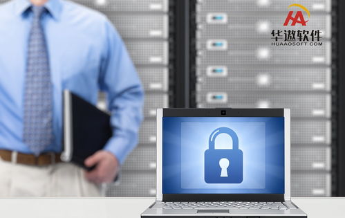 從軟件到資源協(xié)調(diào) ERP實(shí)施成敗中的互聯(lián)網(wǎng)數(shù)據(jù)服務(wù)影響分析